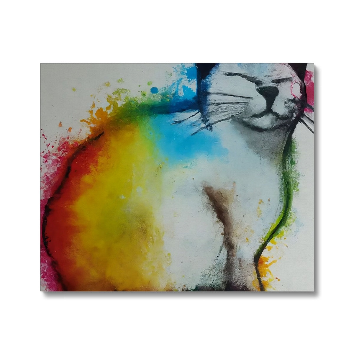 Rainbow Cat Canvas Prodigi