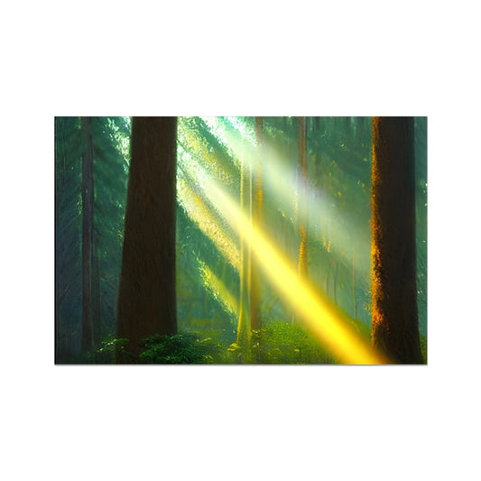 A Ray of Light in the Forest Fine Art Print Prodigi