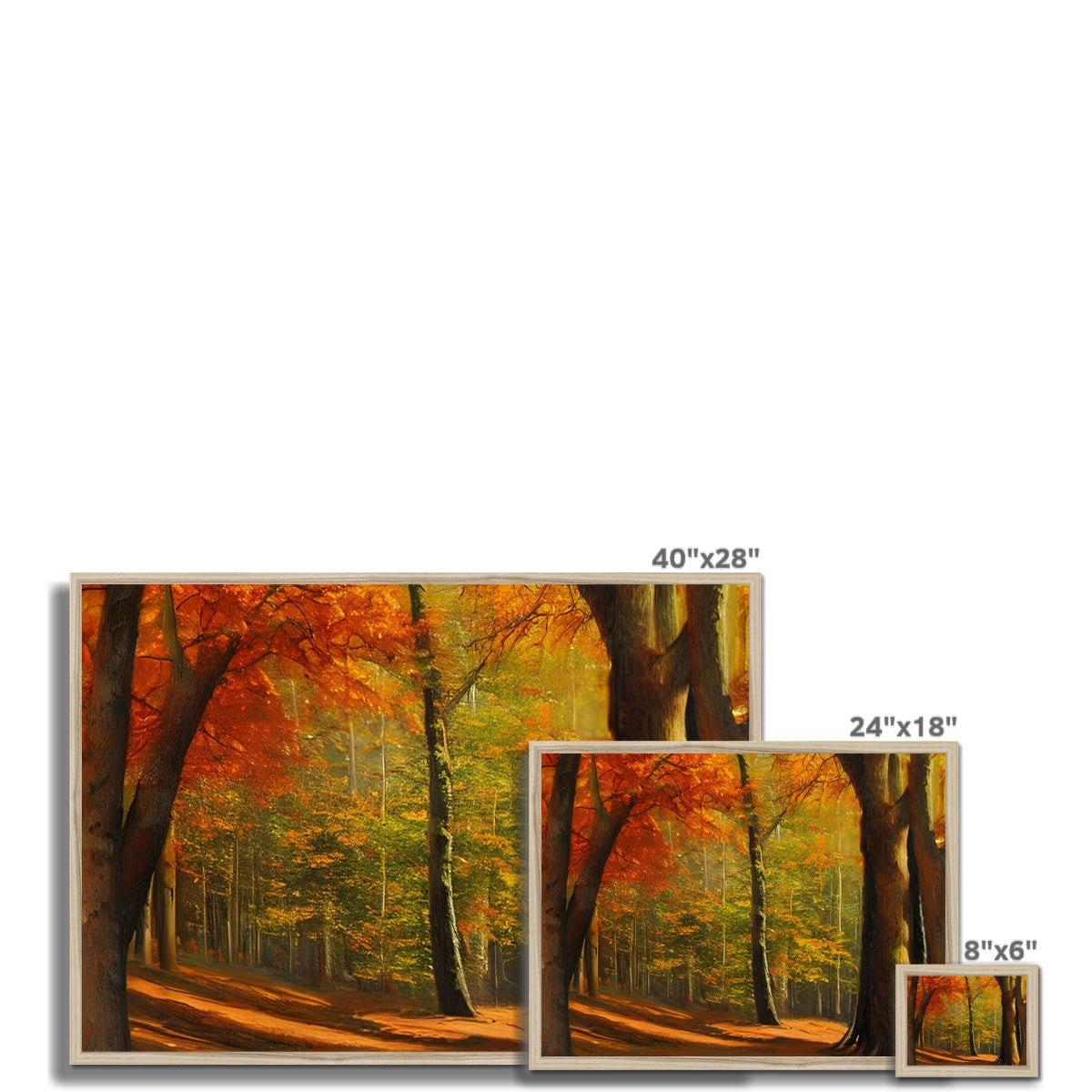 Forest kissed by Autumn  Framed Print Prodigi