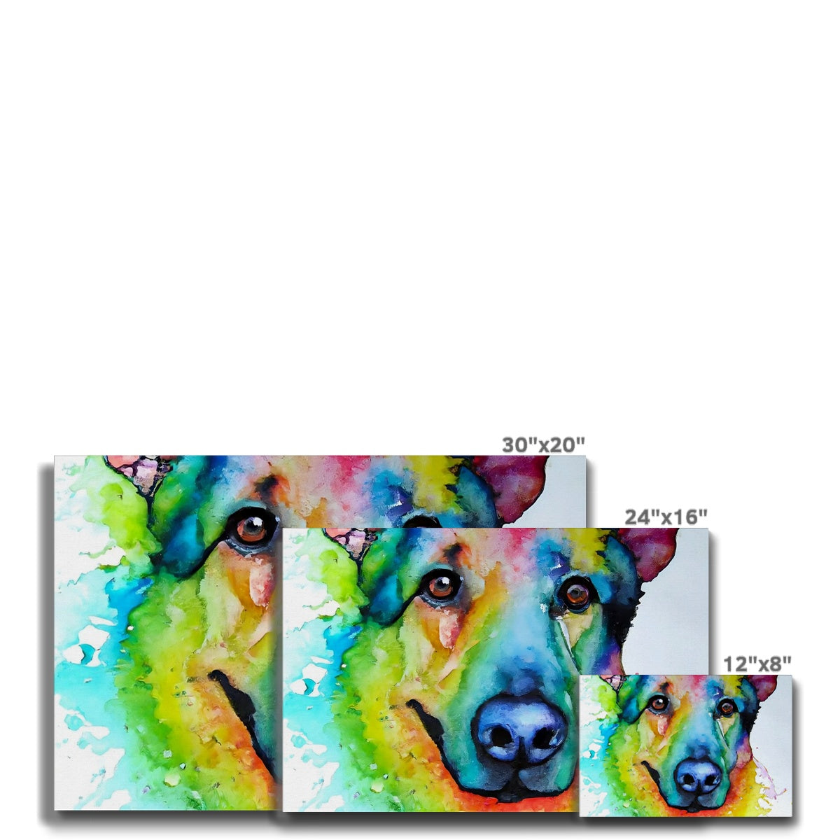 Rainbow Shepherd Dog  Eco Canvas Prodigi