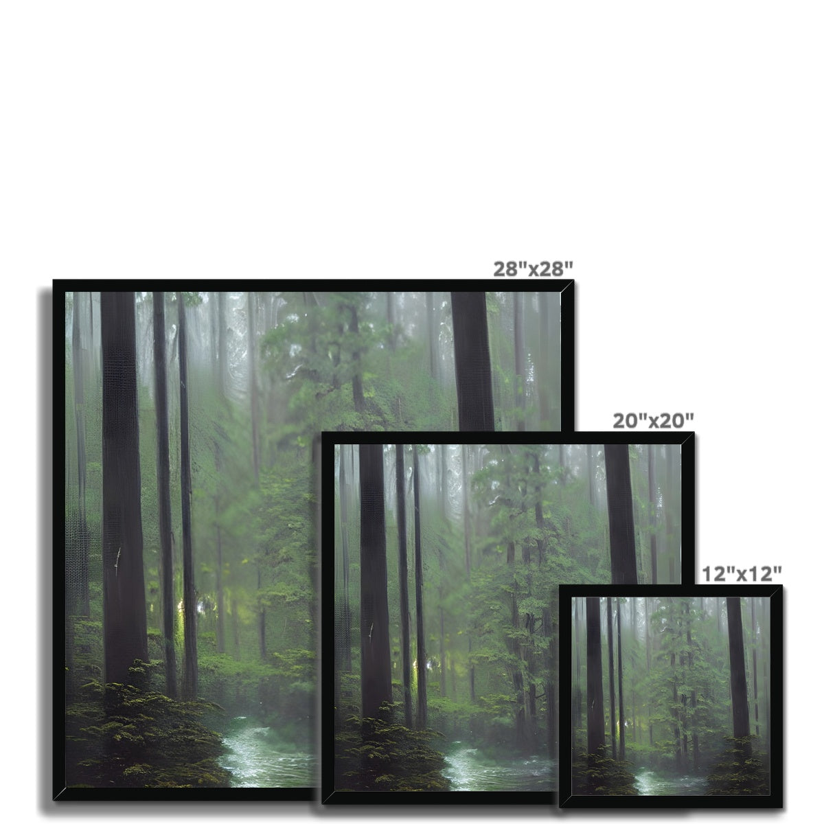 Rainy Forest Framed Print Prodigi