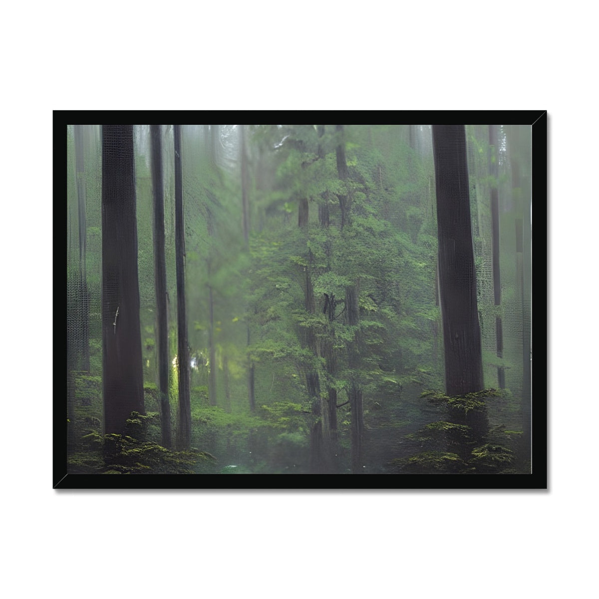 Rainy Forest Framed Print Prodigi