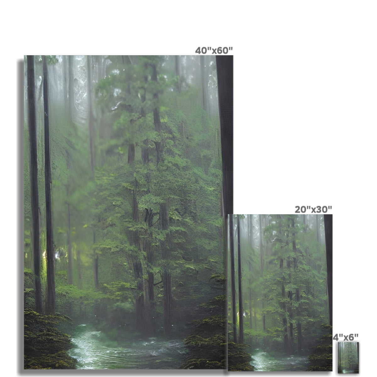 Rainy Forest Fine Art Print Prodigi