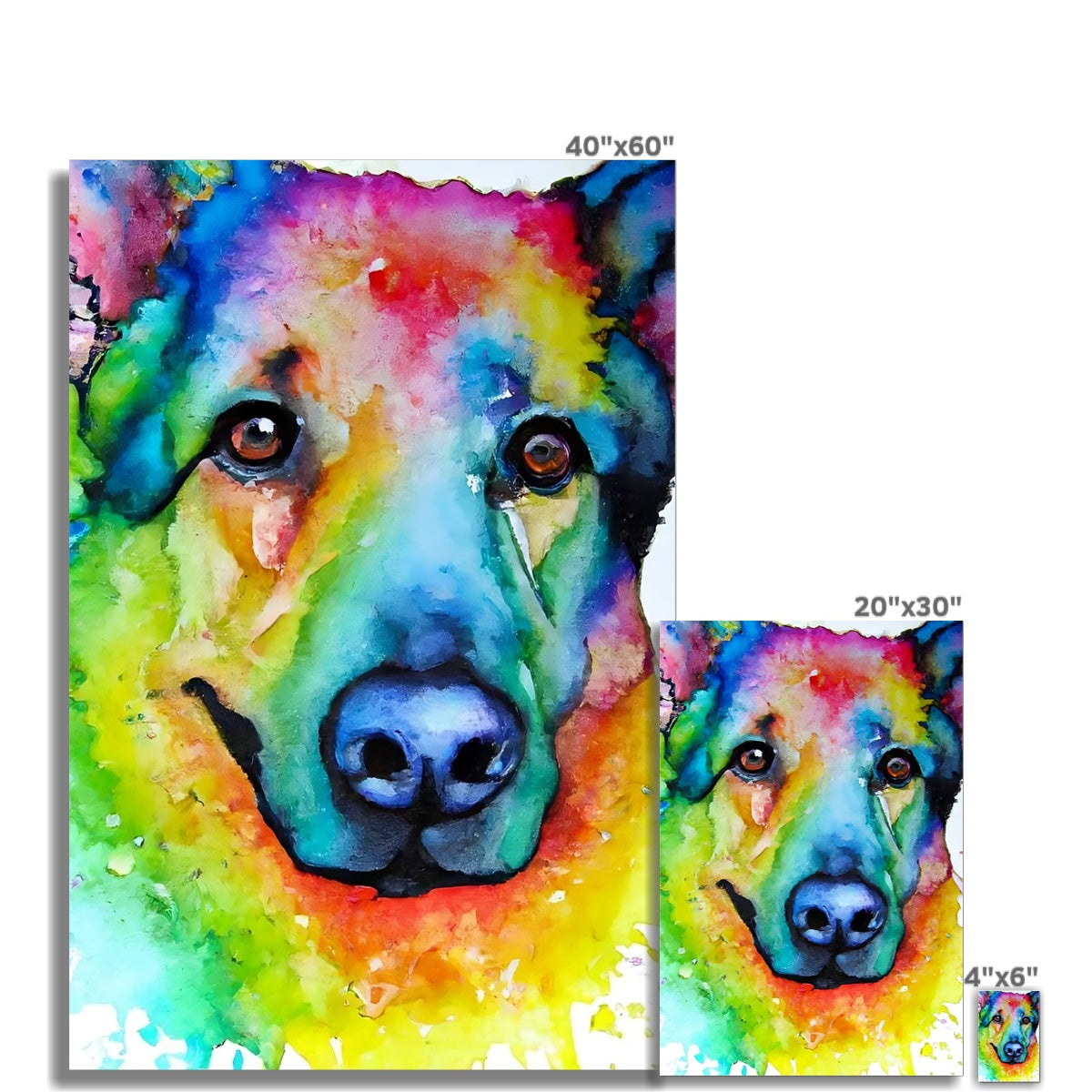 Rainbow Shepherd Dog  Fine Art Print Prodigi