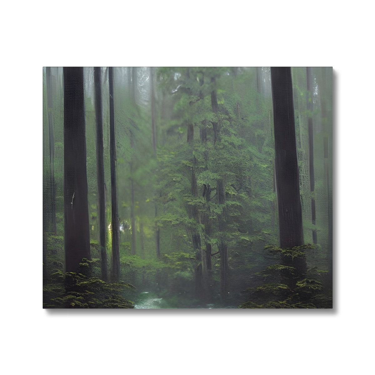 Rainy Forest Canvas Prodigi