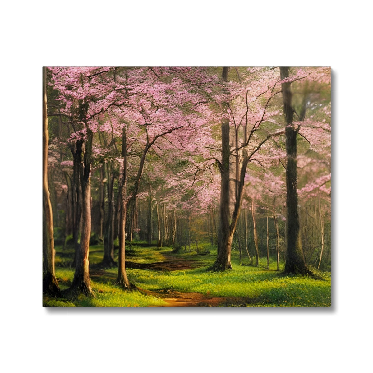 Cherry Blossom in a Forest Canvas Prodigi