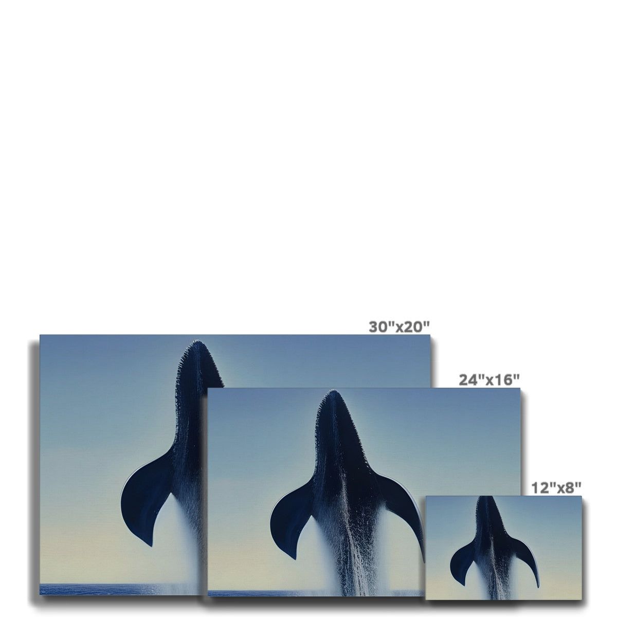 Rising Whale Eco Canvas Prodigi