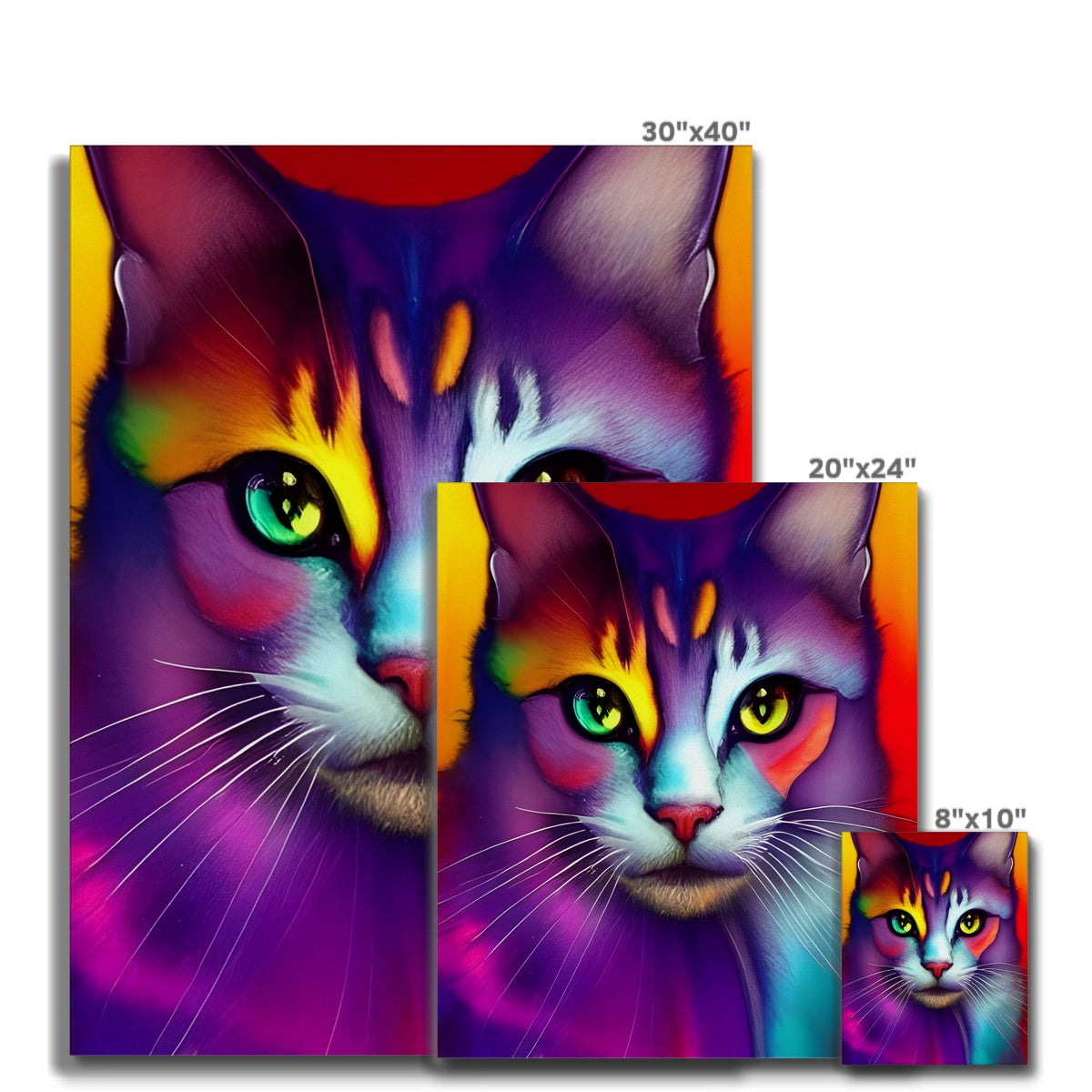 Colorful Cat Canvas Prodigi