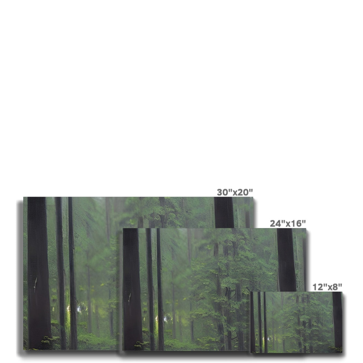 Rainy Forest Eco Canvas Prodigi