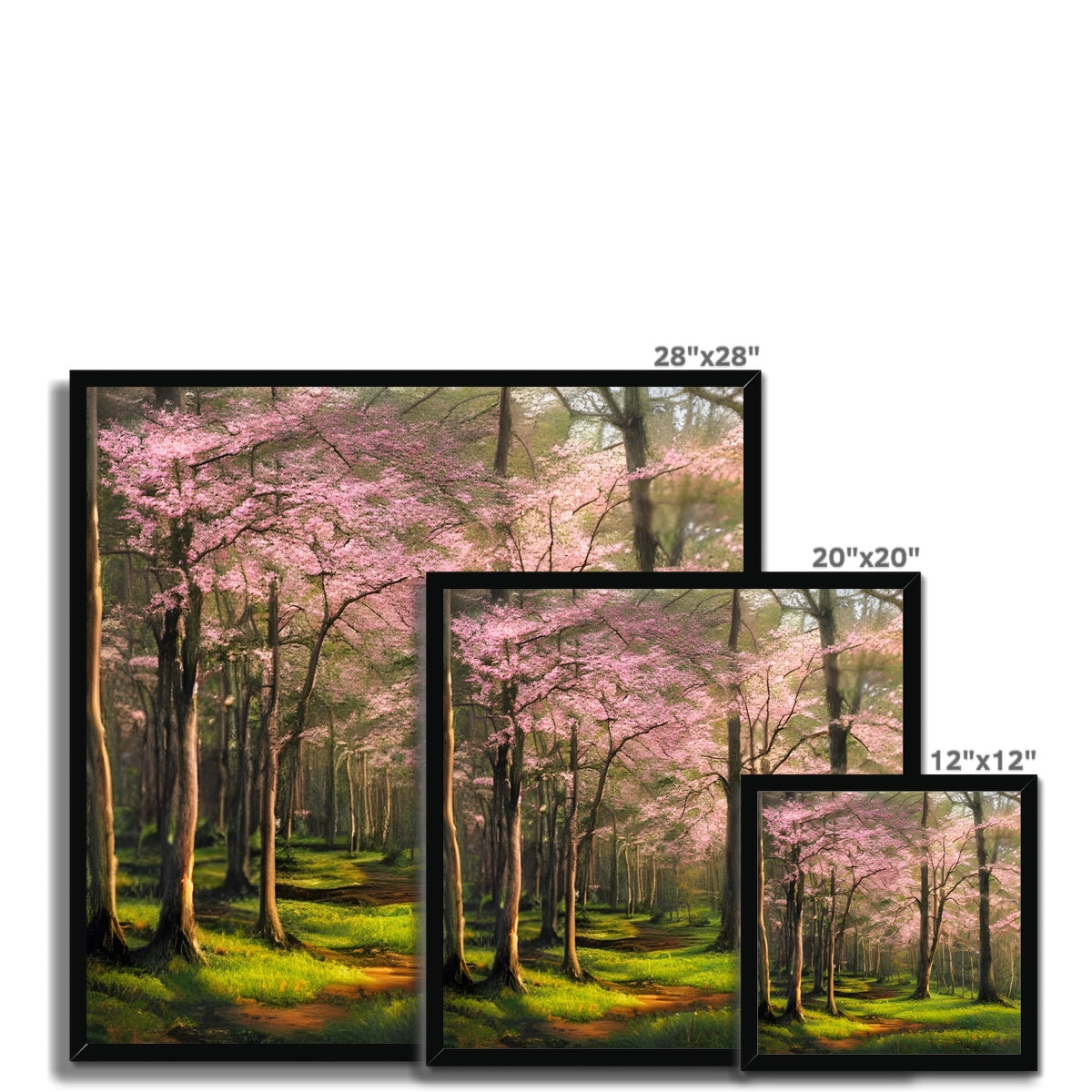 Cherry Blossom in a Forest Framed Print Prodigi