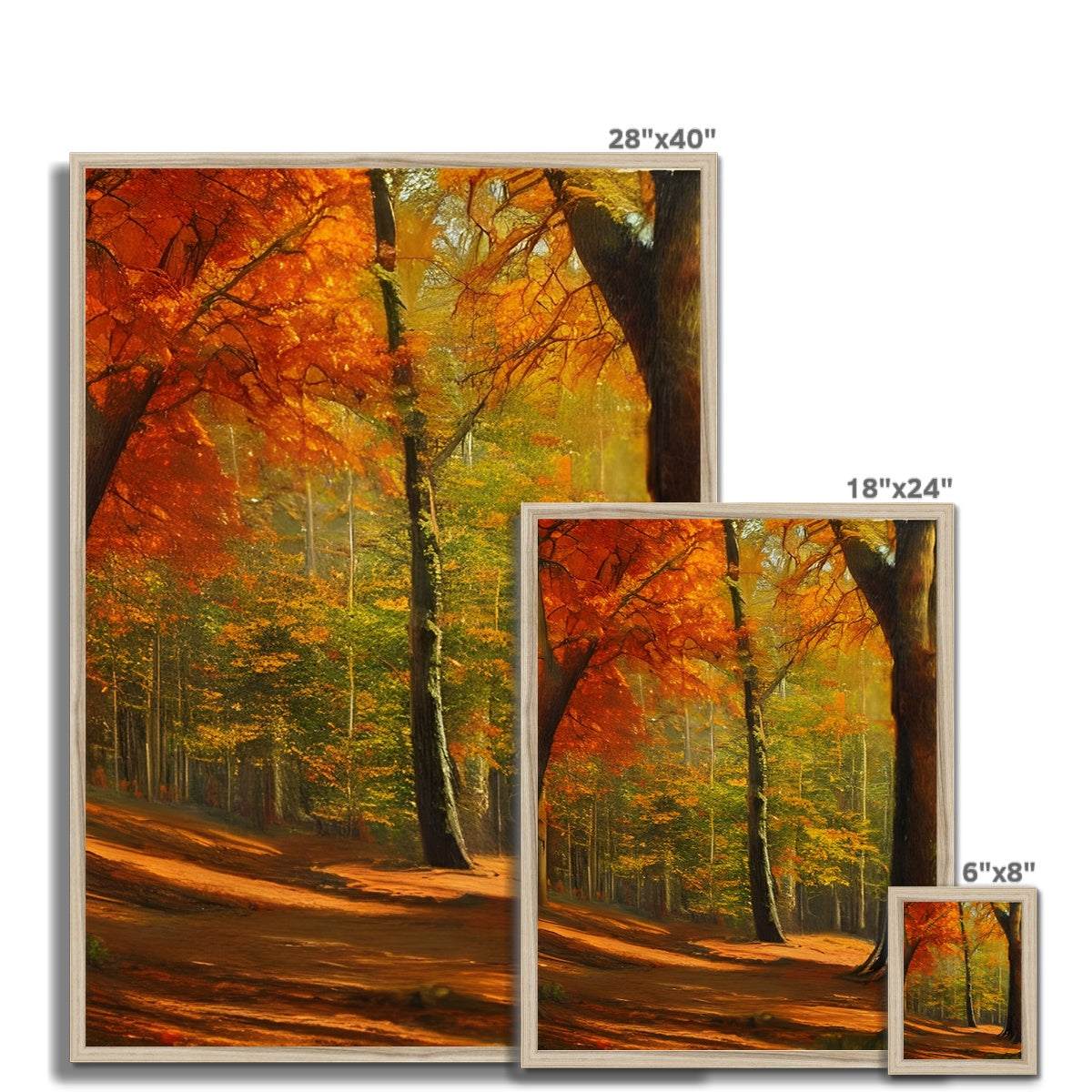 Forest kissed by Autumn  Framed Print Prodigi