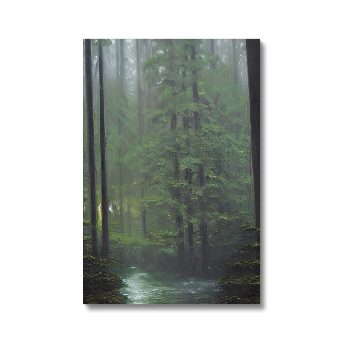 Rainy Forest Eco Canvas Prodigi