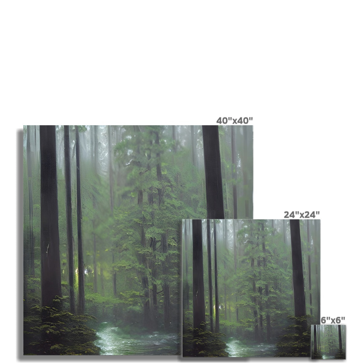 Rainy Forest Fine Art Print Prodigi