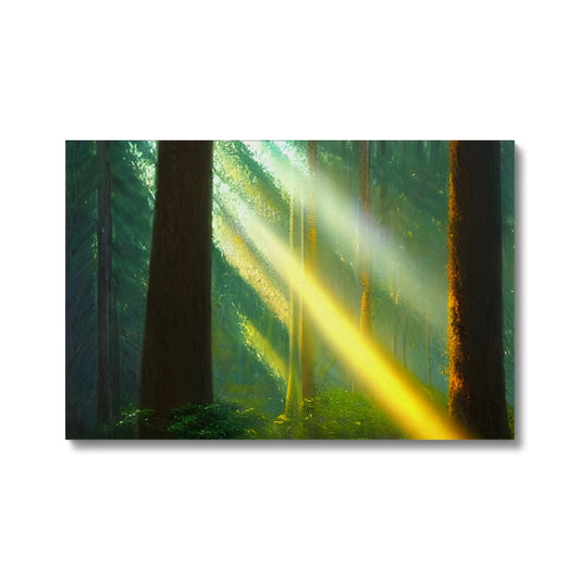 A Ray of Light in the Forest Eco Canvas Prodigi