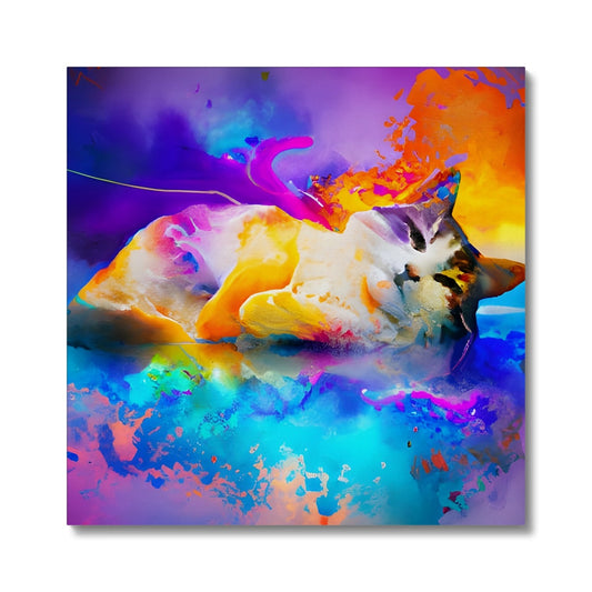 Cat's Dream Canvas Prodigi