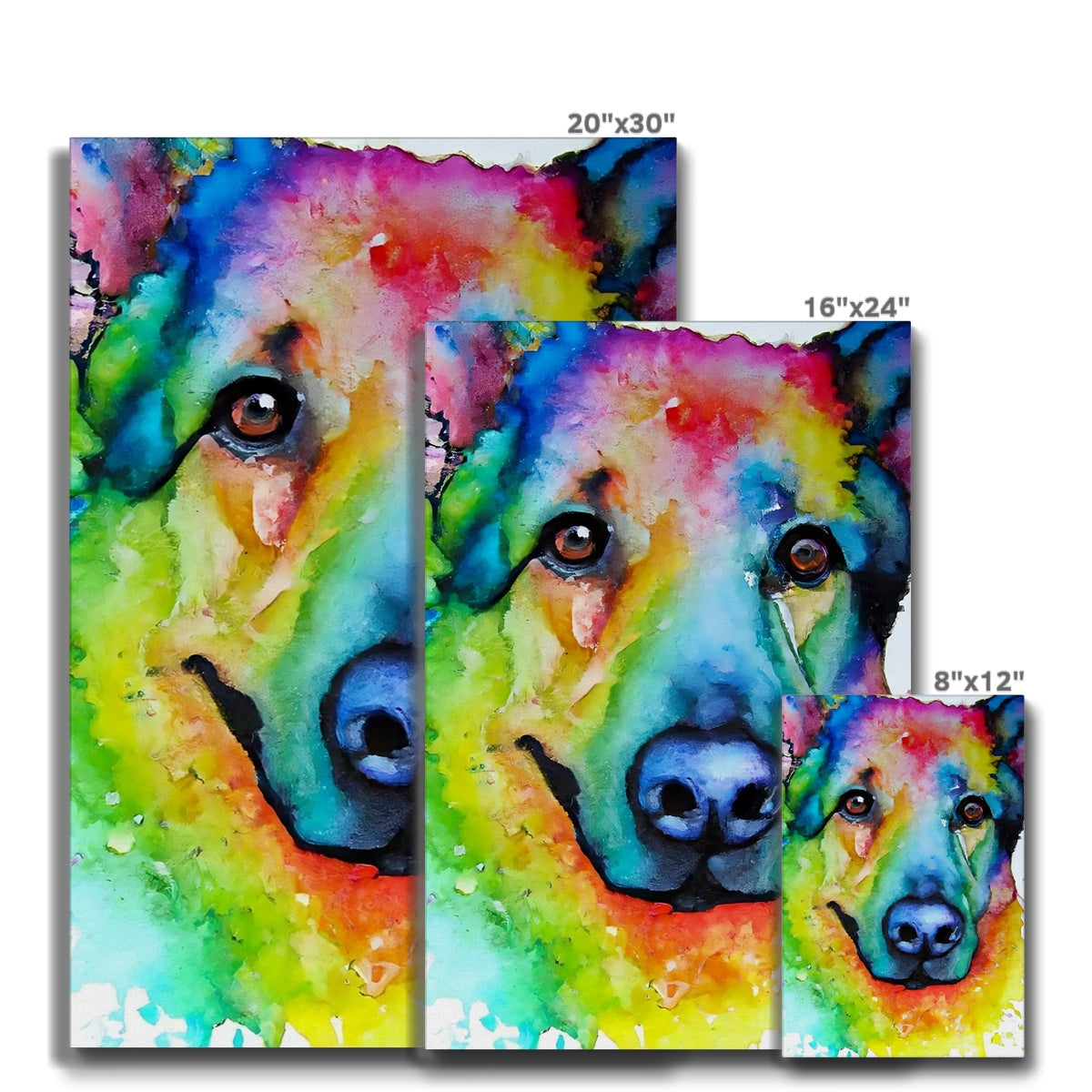 Rainbow Shepherd Dog  Eco Canvas Prodigi