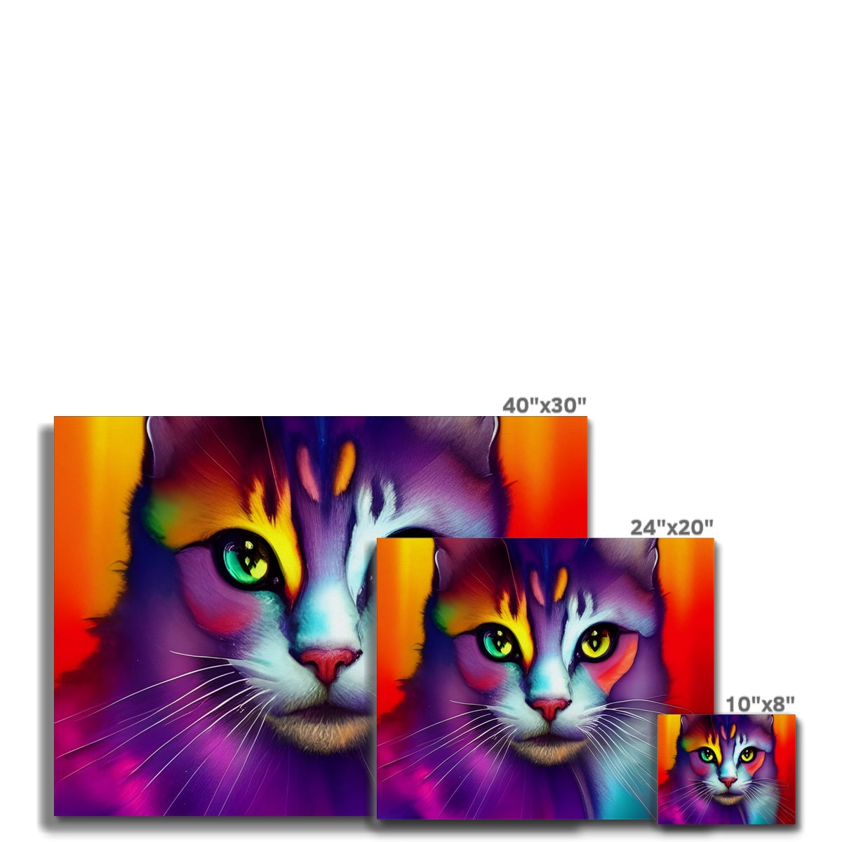 Colorful Cat Canvas Prodigi