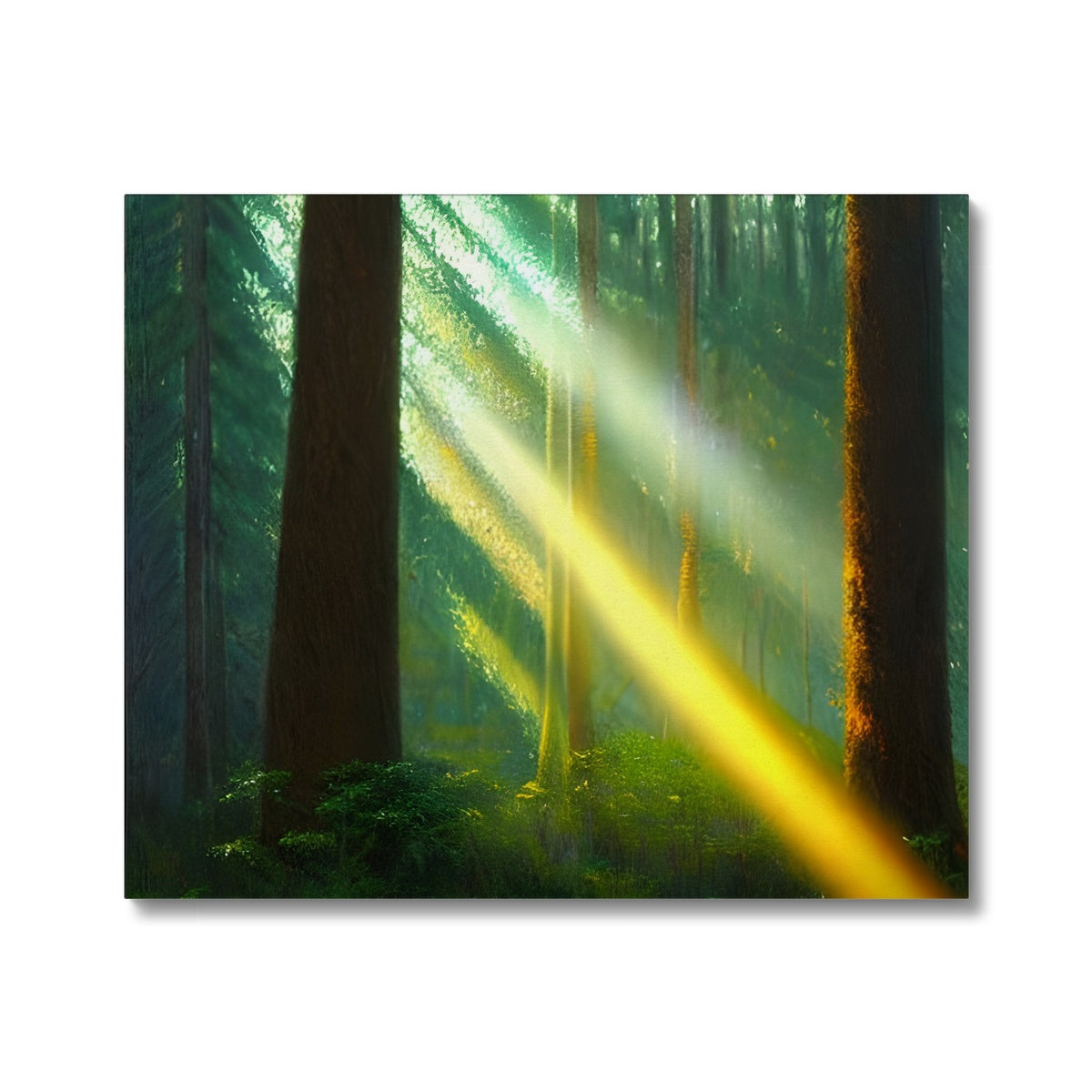 A Ray of Light in the Forest Canvas Prodigi