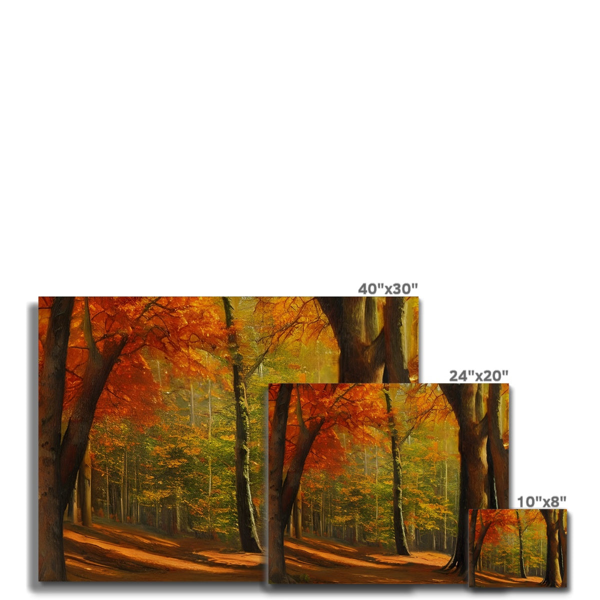 Forest kissed by Autumn  Canvas Prodigi