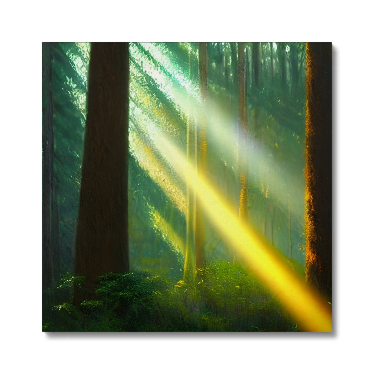 A Ray of Light in the Forest Canvas Prodigi