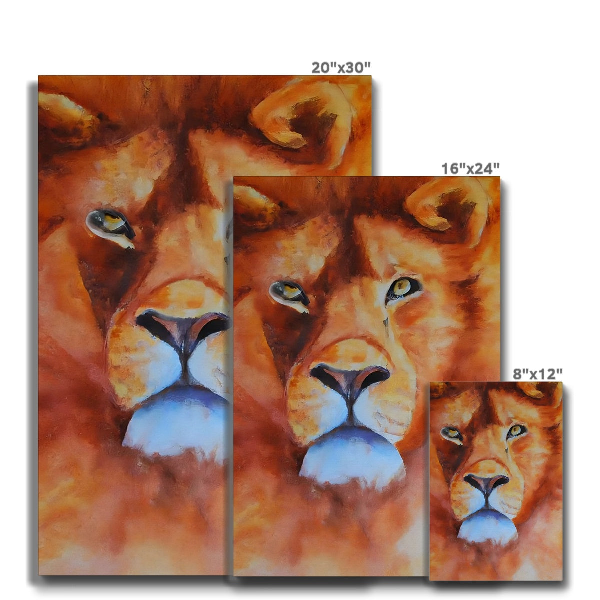 Majestic Lion Eco Canvas Prodigi