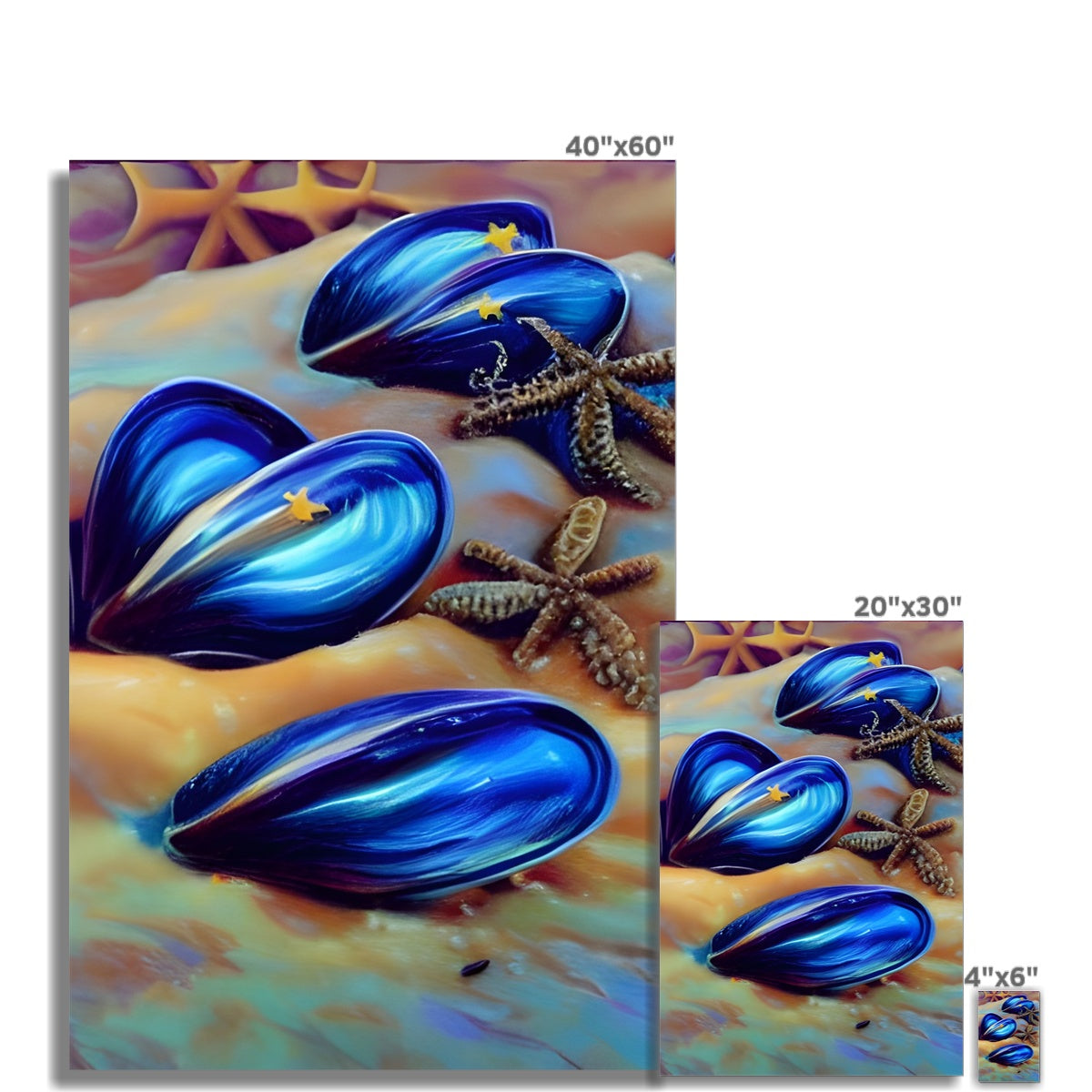 Beautiful Mussles At The Beach Fine Art Print Prodigi