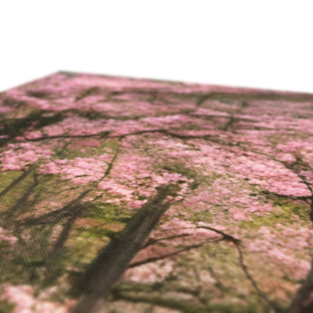 Cherry Blossom in a Forest Canvas Prodigi