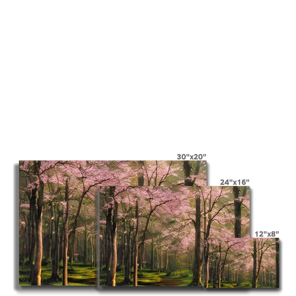 Cherry Blossom in a Forest Eco Canvas Prodigi