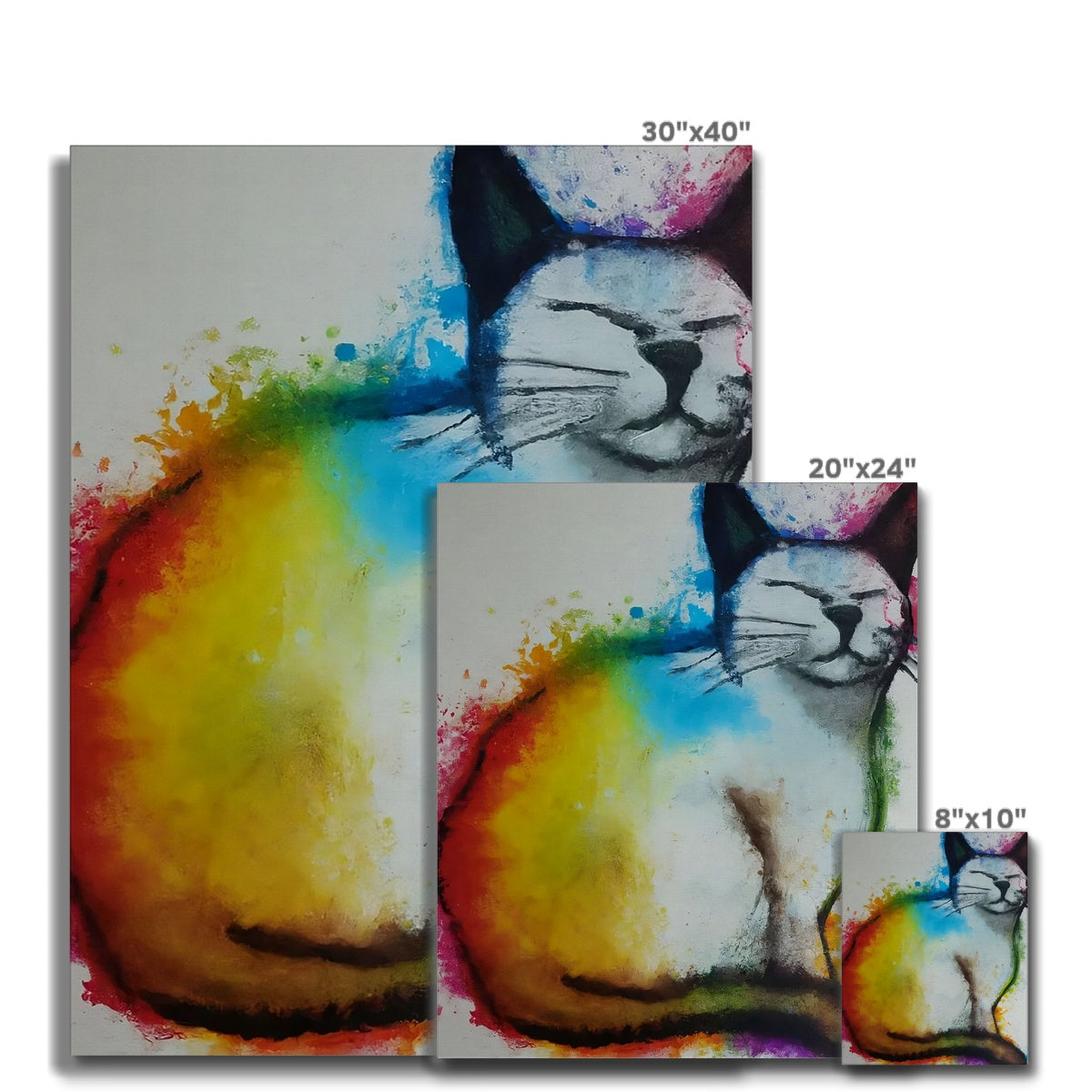 Rainbow Cat Canvas Prodigi