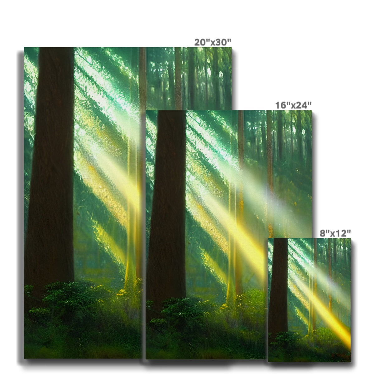 A Ray of Light in the Forest Eco Canvas Prodigi