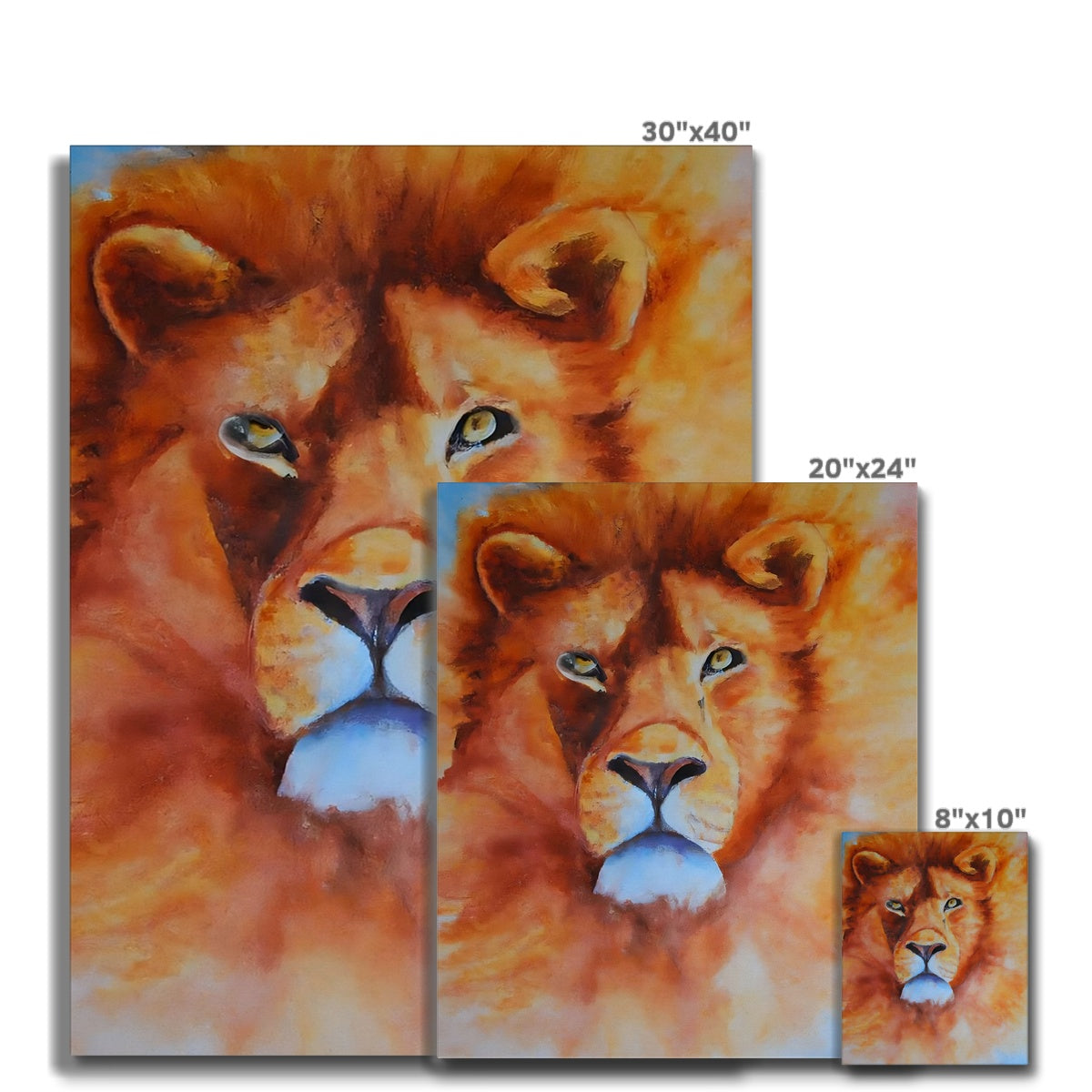 Majestic Lion Canvas Prodigi