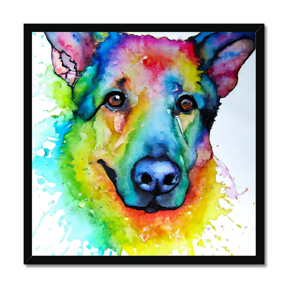 Rainbow Shepherd Dog  Framed Print Prodigi