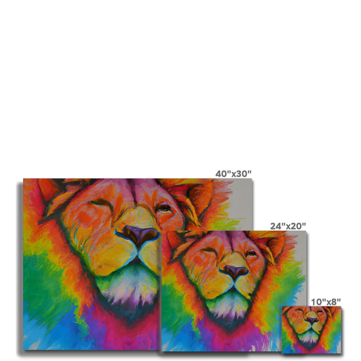 Rainbow Lion Canvas Prodigi