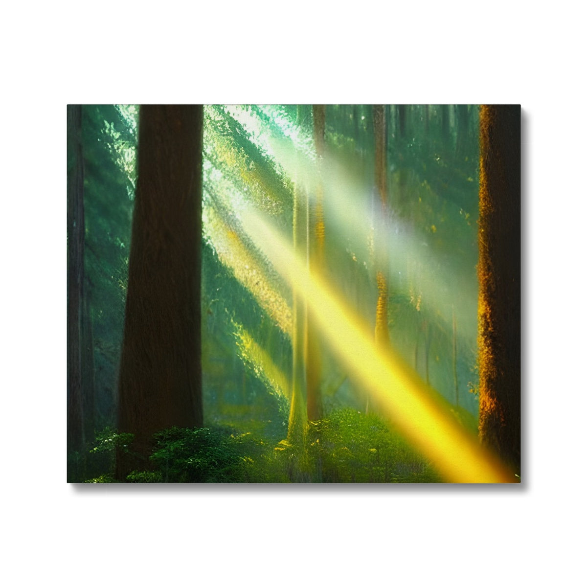 A Ray of Light in the Forest Canvas Prodigi