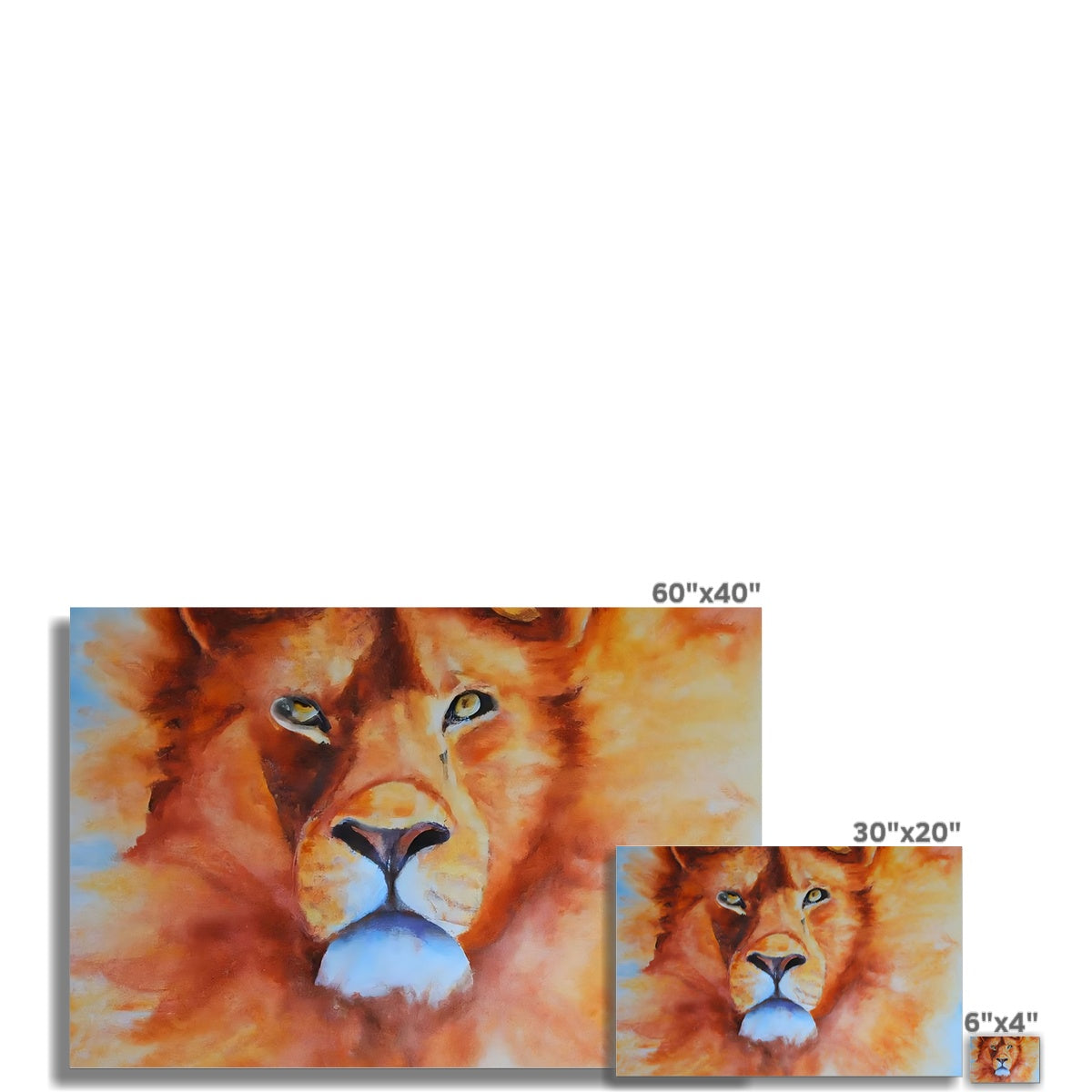 Majestic Lion Fine Art Print Prodigi