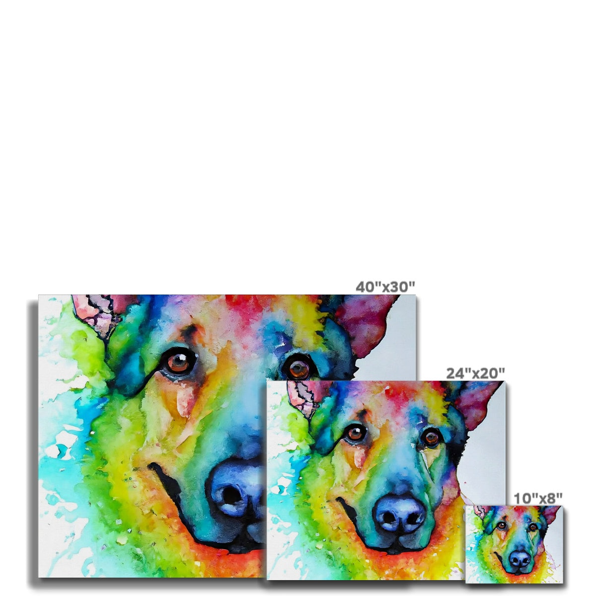 Rainbow Shepherd Dog  Canvas Prodigi