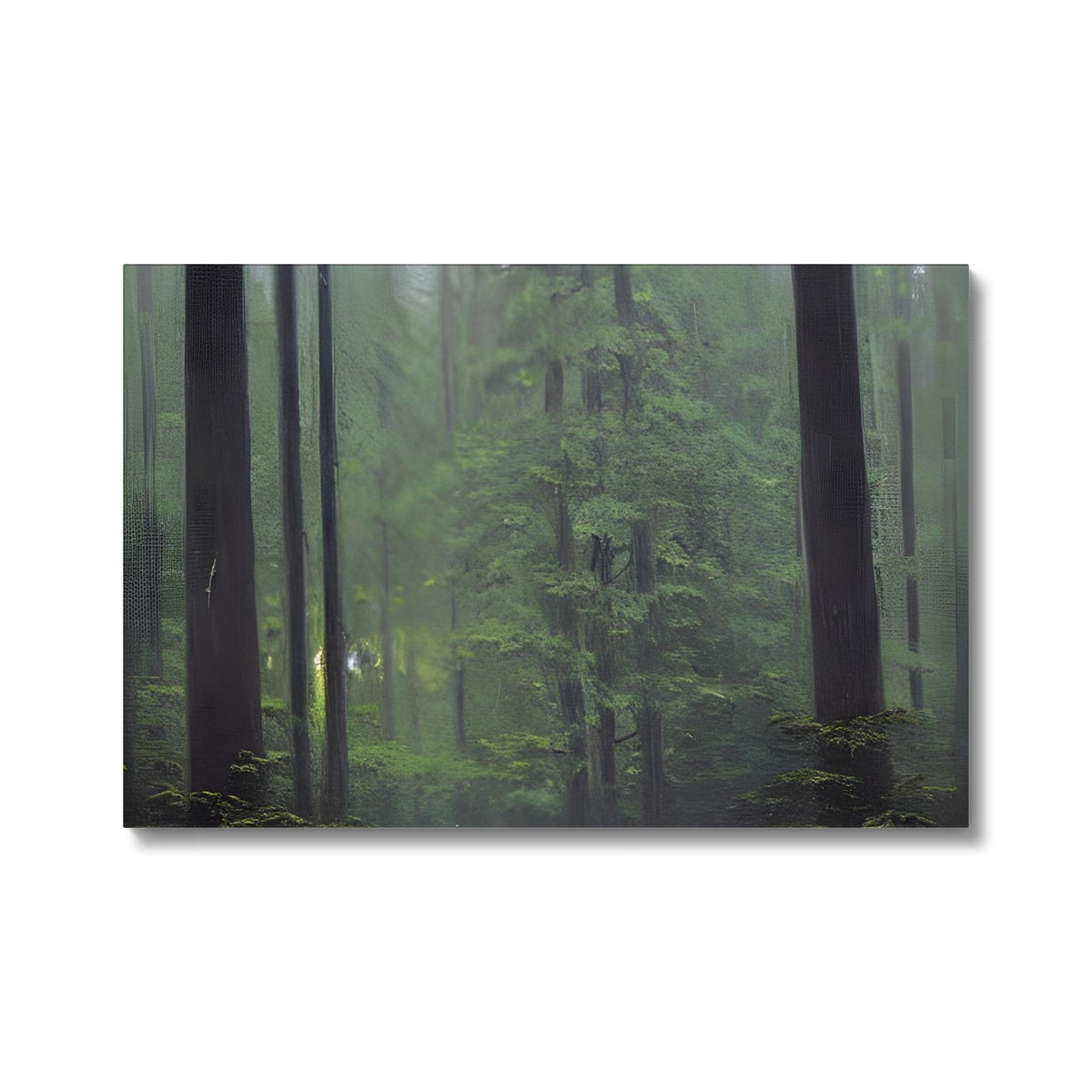 Rainy Forest Eco Canvas Prodigi