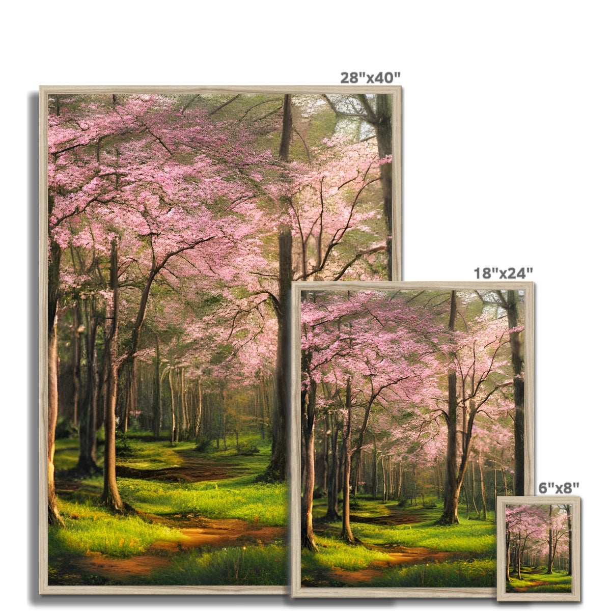 Cherry Blossom in a Forest Framed Print Prodigi