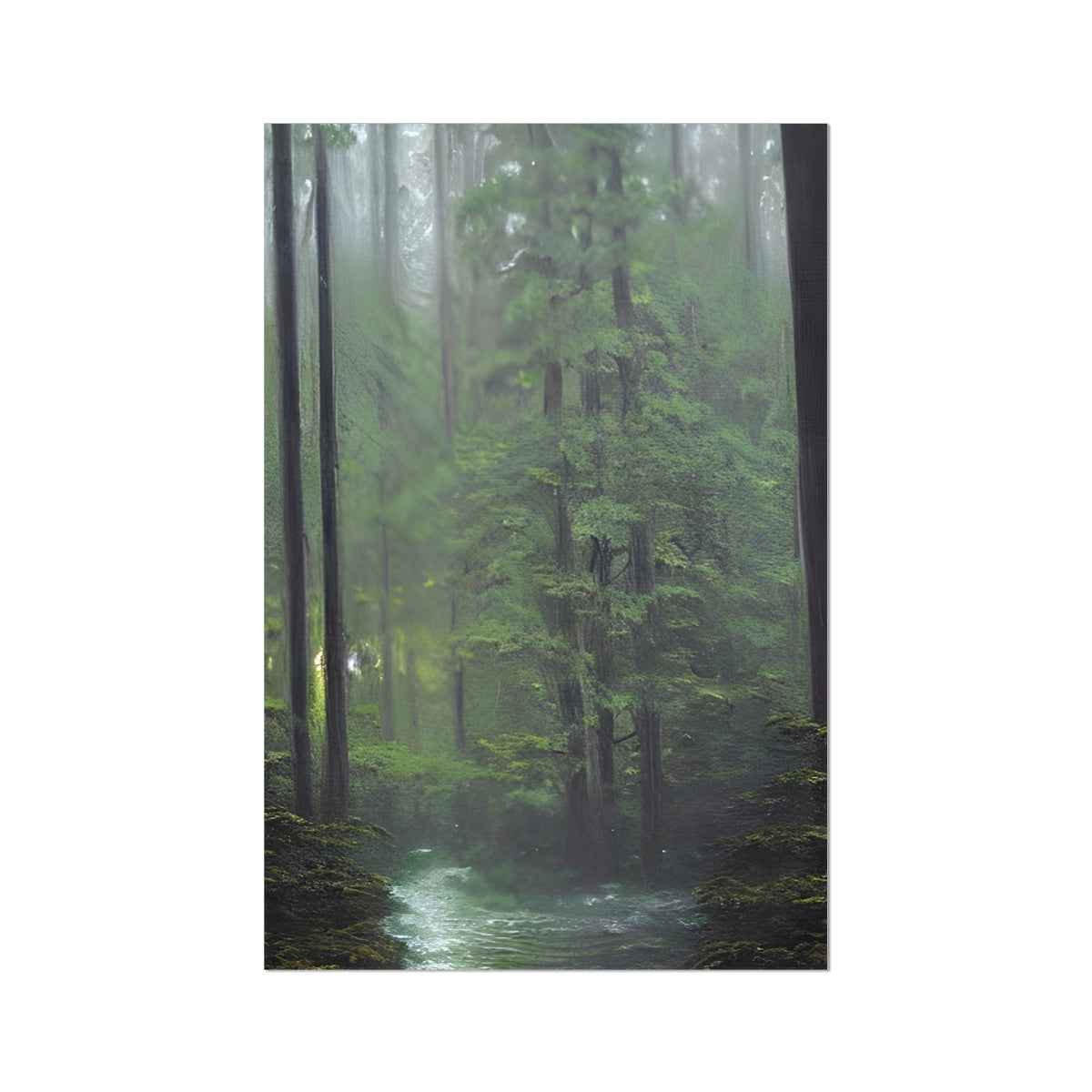 Rainy Forest Fine Art Print Prodigi