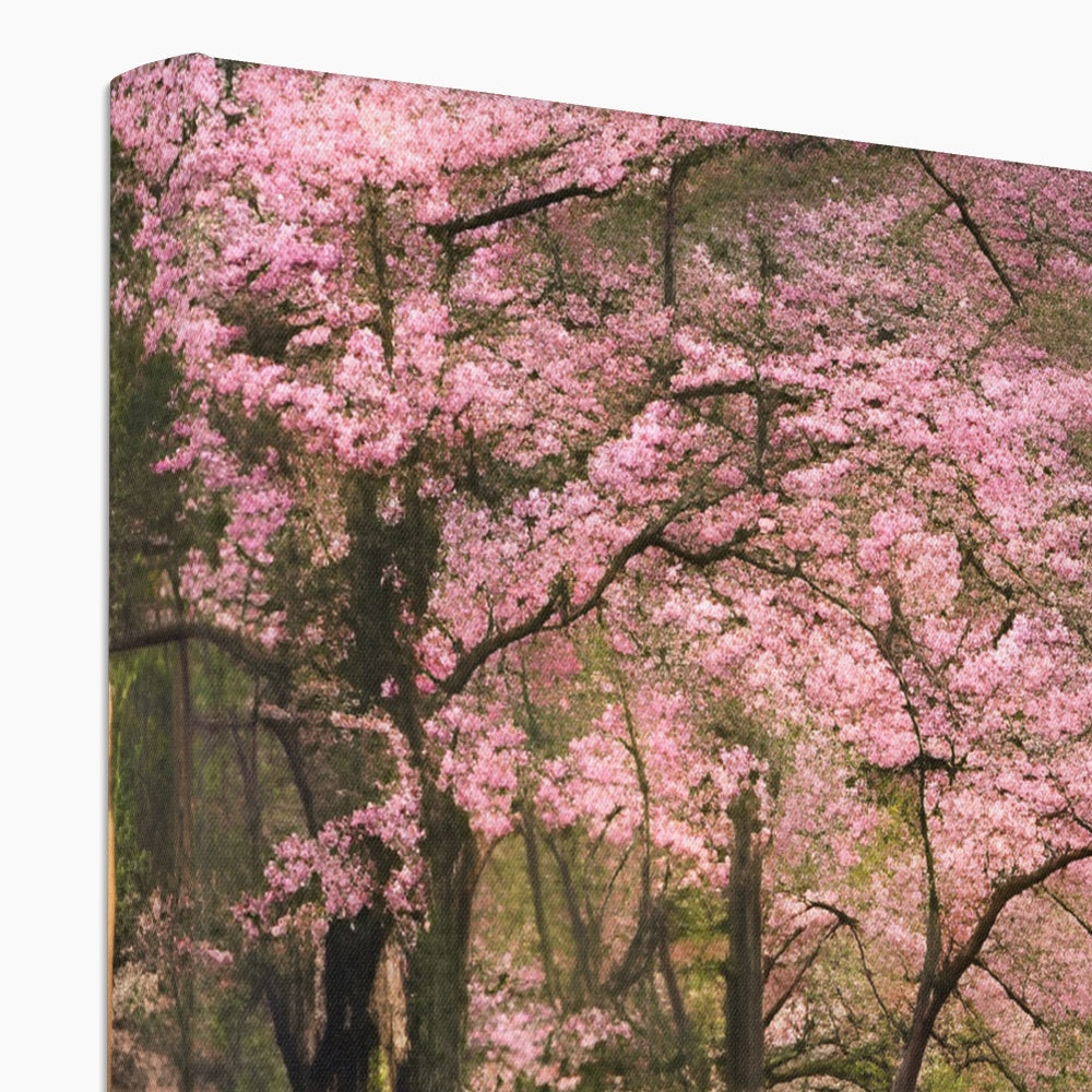 Cherry Blossom in a Forest Canvas Prodigi