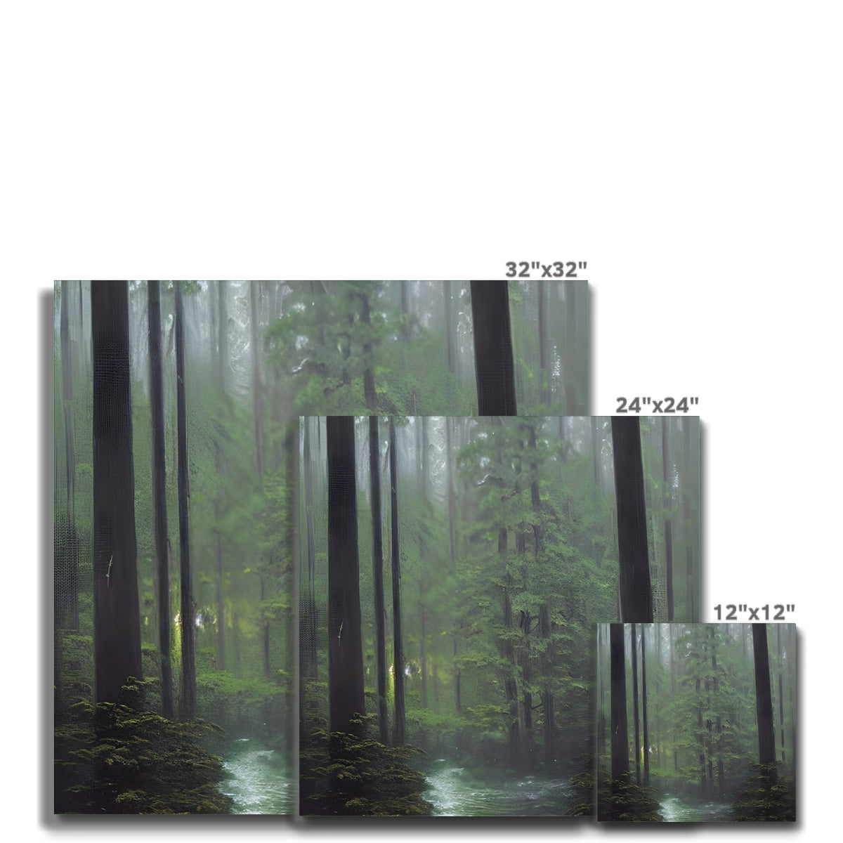 Rainy Forest Canvas Prodigi