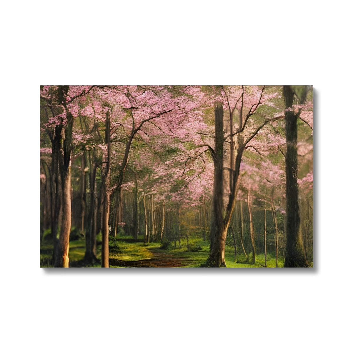 Cherry Blossom in a Forest Eco Canvas Prodigi