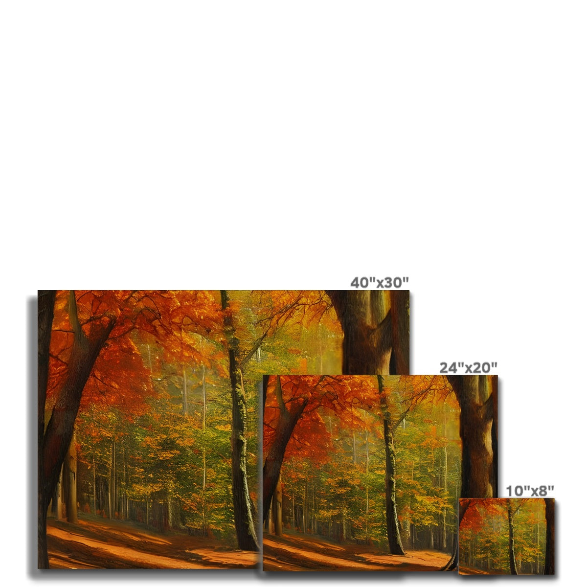 Forest kissed by Autumn  Canvas Prodigi