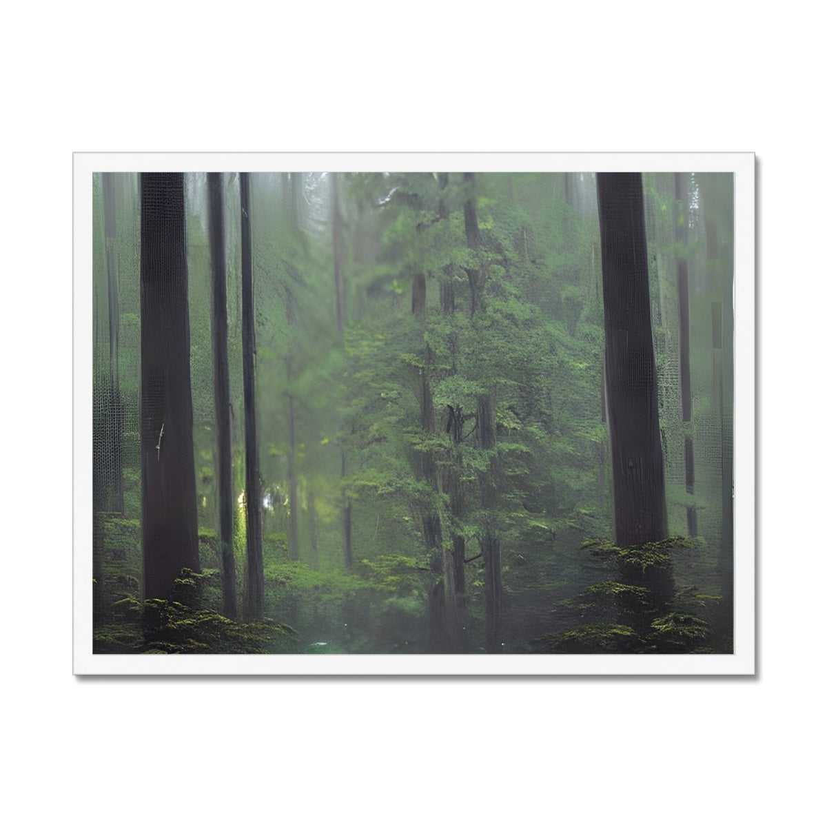 Rainy Forest Framed Print Prodigi