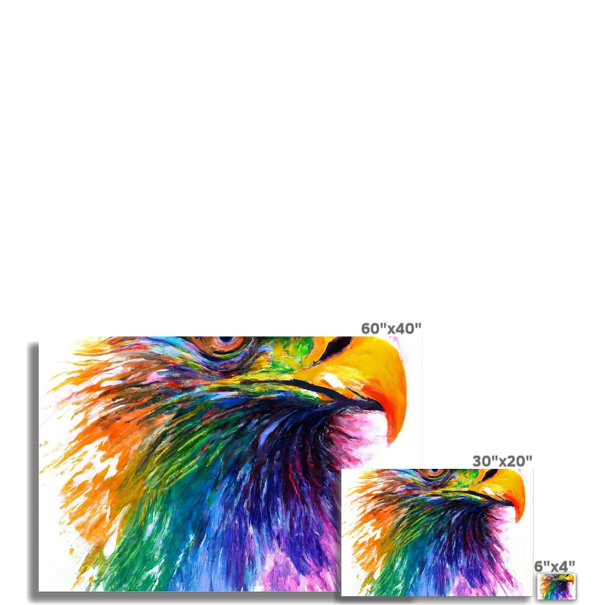 Rainbow Eagle Fine Art Print Prodigi