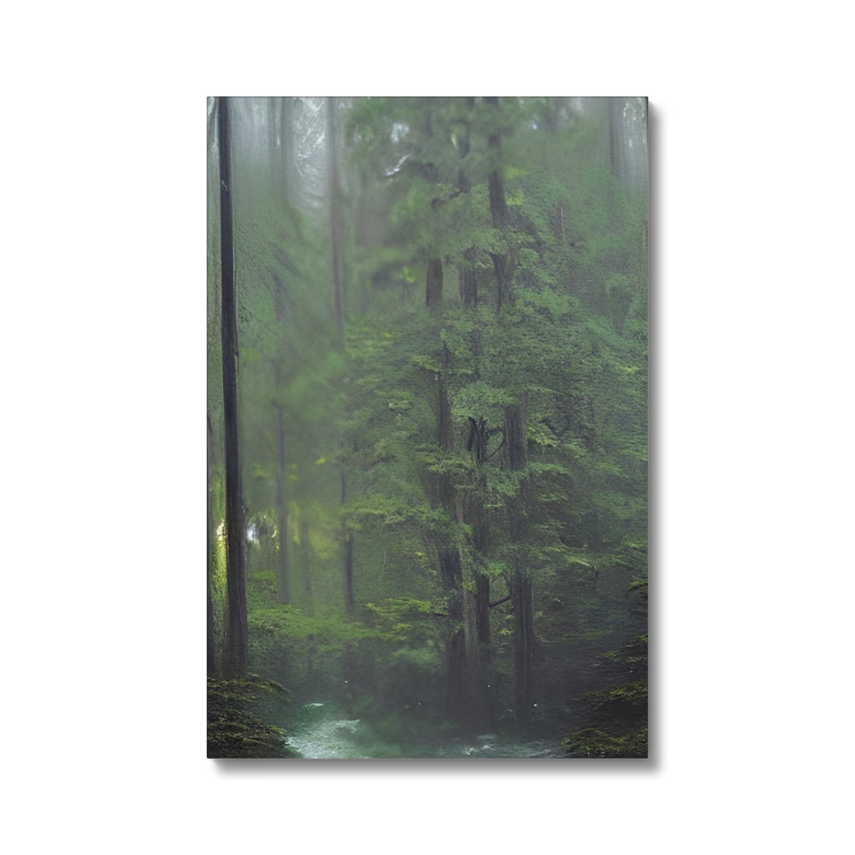 Rainy Forest Eco Canvas Prodigi