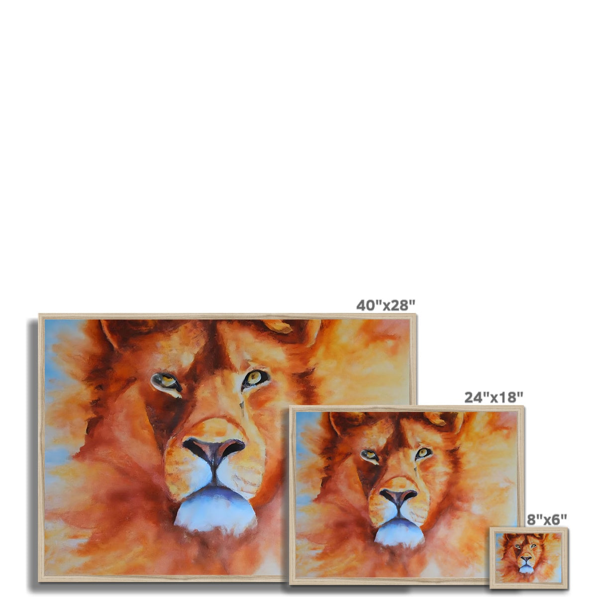 Majestic Lion Framed Print Prodigi