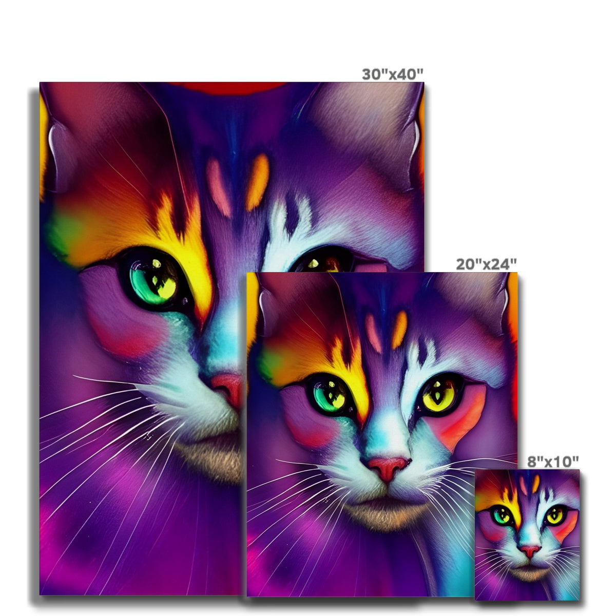 Colorful Cat Canvas Prodigi