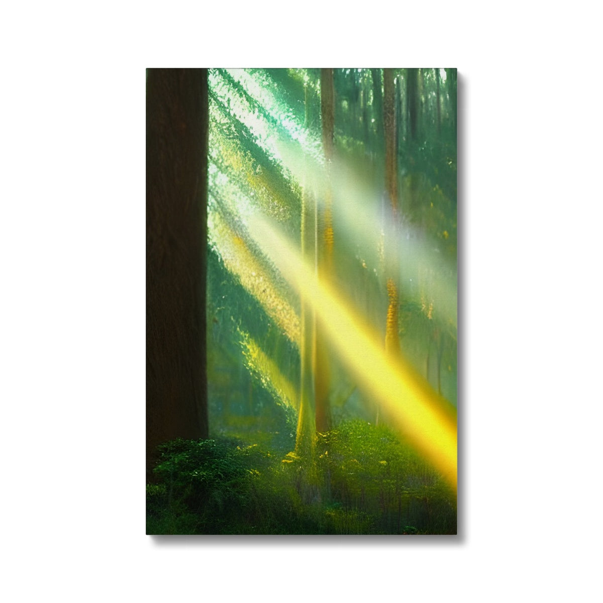 A Ray of Light in the Forest Eco Canvas Prodigi