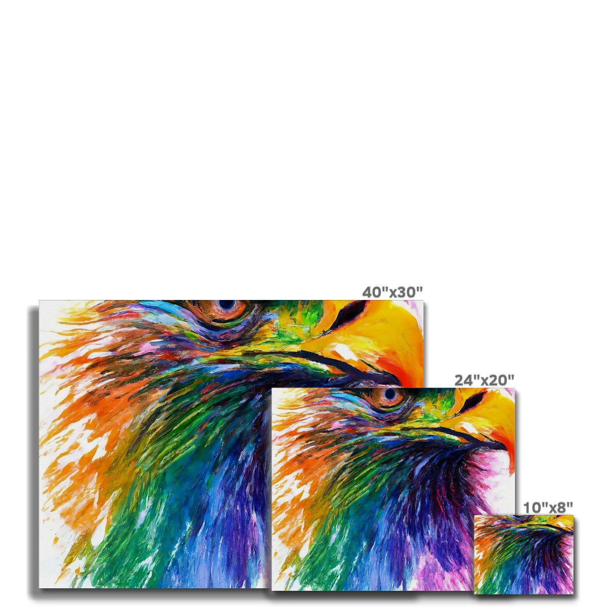 Rainbow Eagle Canvas Prodigi